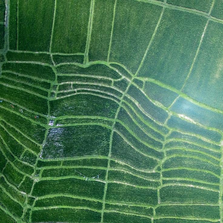 Family terraces and cafés for calm evenings in Barcelona